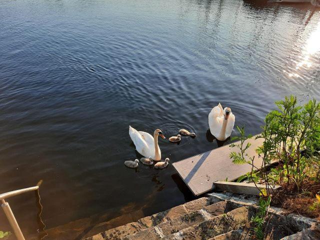 Strandhof Apartment Möhnesee